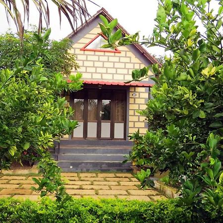 Wild Wadi Cottages Malanka Kültér fotó